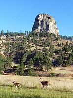 Devil tower (19).JPG